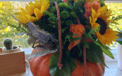 Klasa na błysk w nowym roku szkolnym